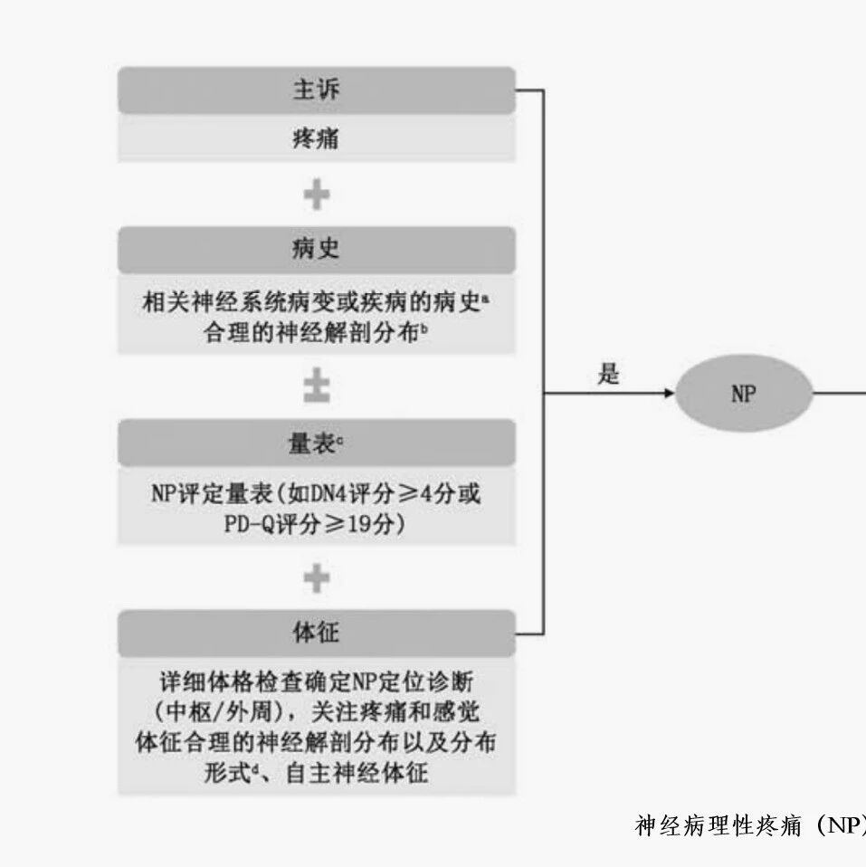 2026中国神经病理性疼痛诊断及药物治疗指南要点一览